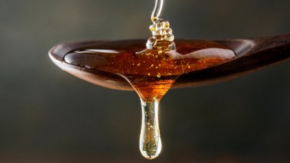 goccia di miele biologico di millefiori e acacia su cucchiaio di legno a Roseto degli Abruzzi a Teramo