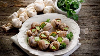 piatto di lumache di terra lesse con aglio e prezzemolo naturali biologiche nostrane a Roseto Degli Abruzzi a Teramo